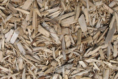 biomass boilers Wolsty
