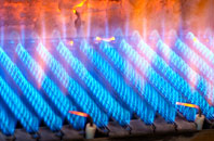 Wolsty gas fired boilers